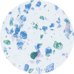 [BL2405] Blue Terrazzo [Bella Nail Label]