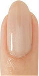 VL007 Kirutansasu Vetro No.19 Pod Gel