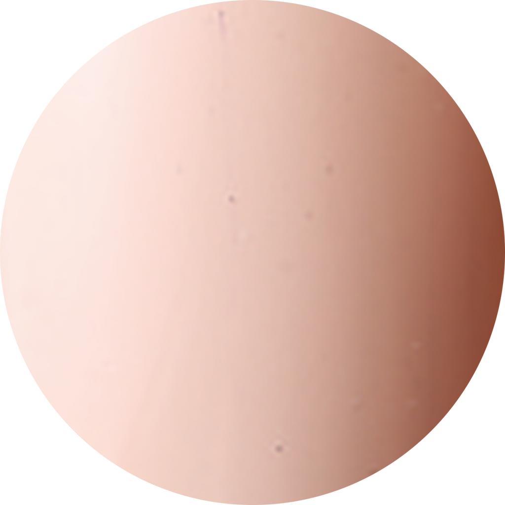 Black Line Skin Tone Bundle by @Vivxue (Half-Warm) -15% saving-