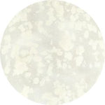 VL316 Stone White Vetro No.19 Pod Gel