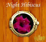 VL323 Night Hibiscus Vetro No.19 Pod Gel