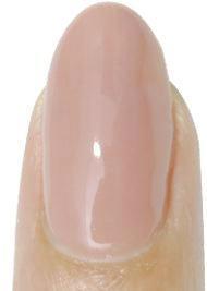 B399 Pheromone Vetro Black Line