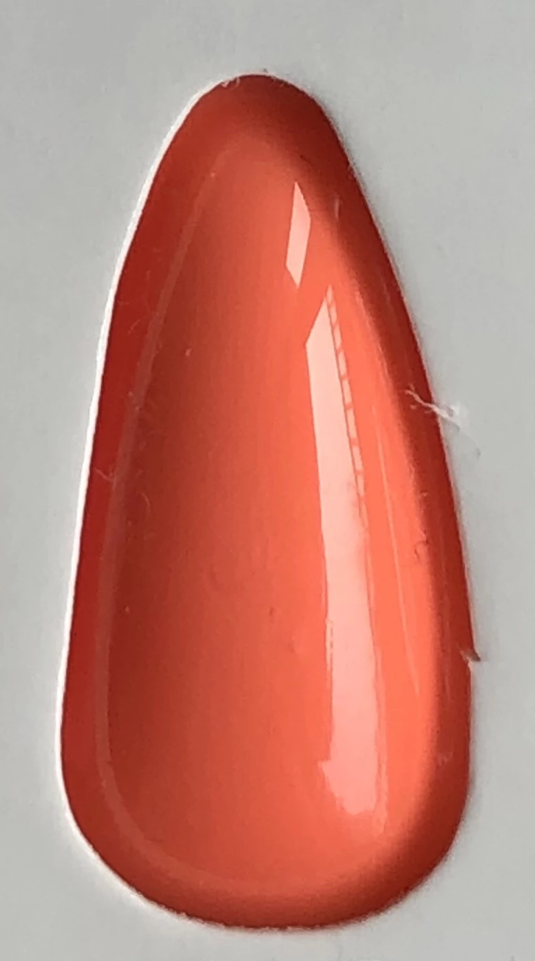 [GL762] Ready, Set, Masago [Gold Line DUO]