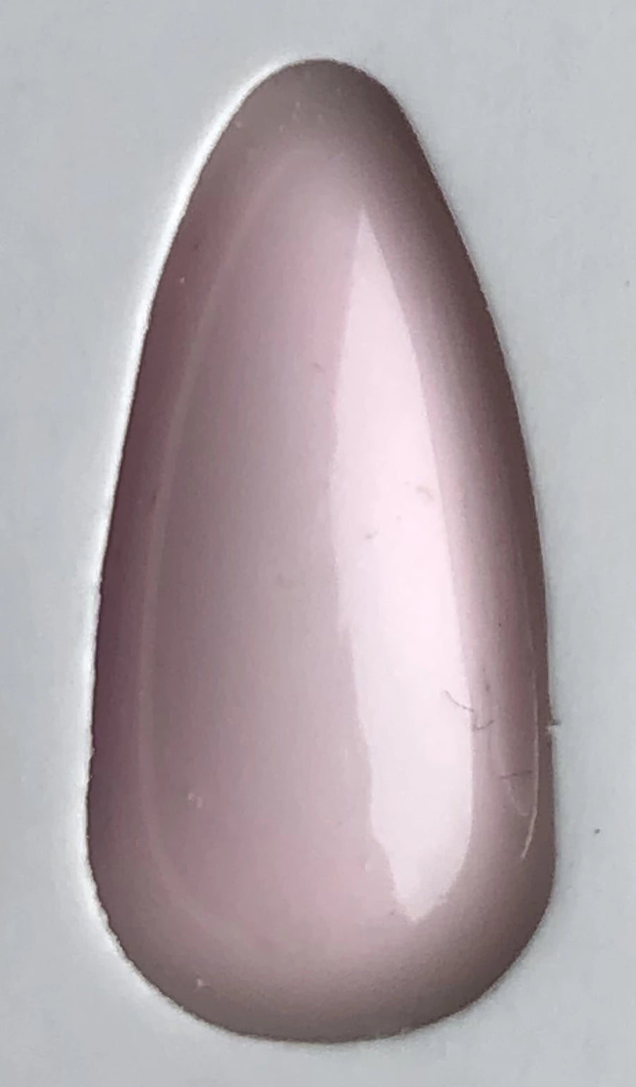 [GL806] You Look Happy To Sashimi [Gold Line DUO]